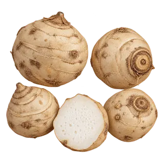 泽泻