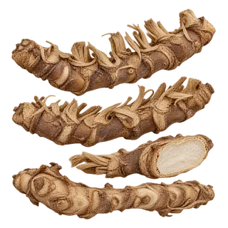 知母
