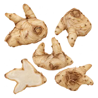 白及