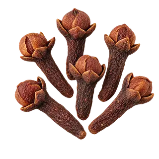 丁香