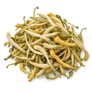 金银花