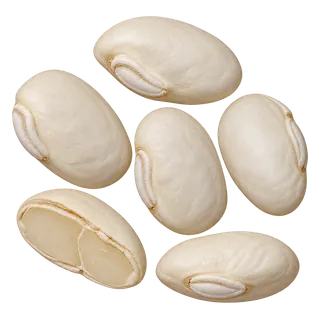 白扁豆
