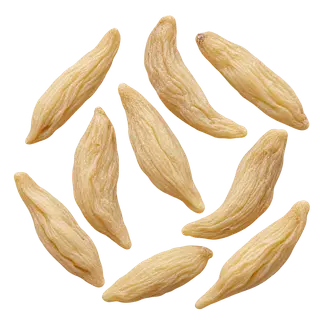 麦冬