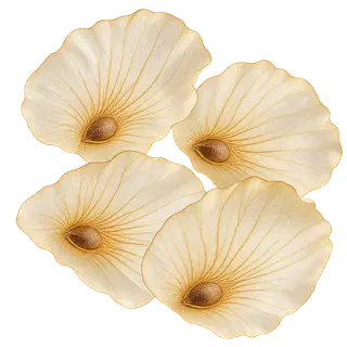 木蝴蝶