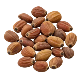 莱菔子